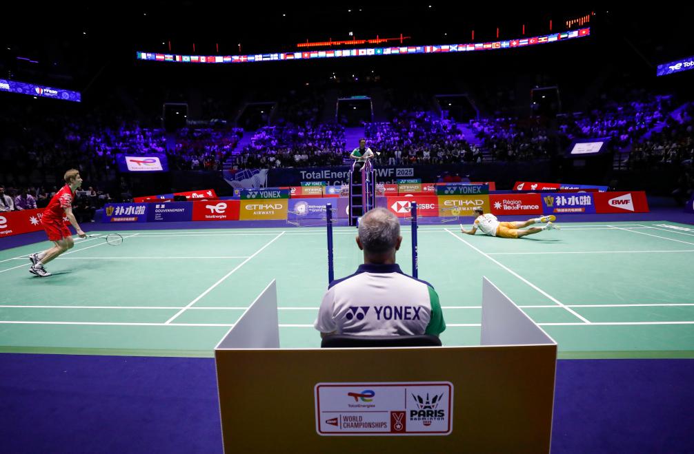 新的惊喜 新的惊喜